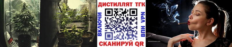 где купить наркоту  ОМГ ОМГ ТОР  Дистиллят ТГК вейп с тгк  Зеленокумск 