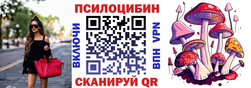 Псилоцибиновые грибы Cubensis  Зеленокумск 
