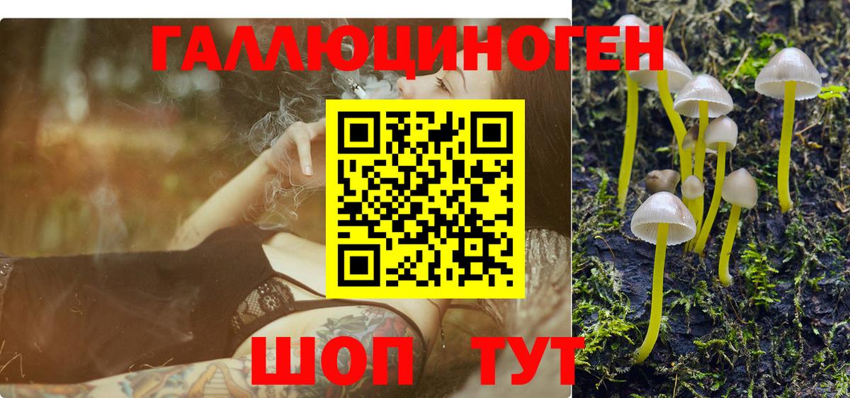 Псилоцибиновые грибы GOLDEN TEACHER Зеленокумск